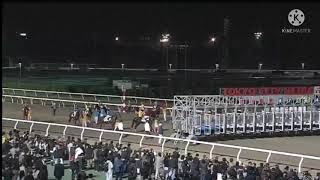 大井競馬　左回り1650㍍　初レース