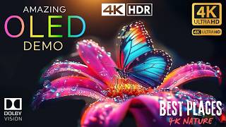 Dream of the Future HDR 4K 60FPS Dolby Atmos 4K Video