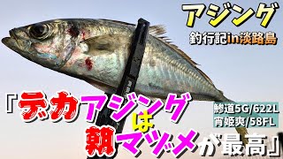 【アジング釣行記in淡路島】デカい鯵が回遊する朝、あなたは眠っていられますか？ 朝マヅメのポテンシャルは侮れない！  淡路島デカアジング！   【鯵道５G６２２L】【宵姫爽５８FL】