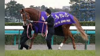 あのクラシック３冠好走馬が種牡馬入り　気になる種付け料は…[Japanese sports]