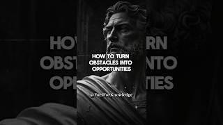 How To Turn Obstacles Into Opportunities #stoicism #shorts