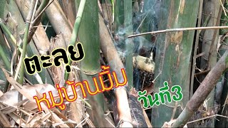 ตะลุยหาตีมิ้ม วันที่3 ของหมู่บ้านมิ้มจะหมานไหม?