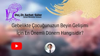 Gebelikte Çocuğunuzun Beyin Gelişimi İçin En Önemli Dönem Hangisidir?