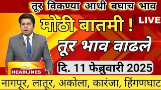 ⭕ 11 फेब्रुवारी 2025 |अकोला तूर बाजार भाव | tur bajar bhav today | तूरीचे बाजार भाव आजचे