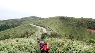 達磨山・金冠山トレッキング   富士山/駿河湾展望コース