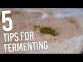 Five tips for fermentation (from a pro!) | The Craft Beer Channel