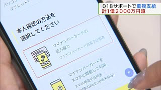 018サポート総額1億2000万円以上を重複支給／018 Support Duplicate payments totaling 120 million yen or more