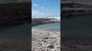 @AtomikMedia You need to see Agulhas Beach in the Western Cape Province of South Africa