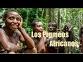 Los Pigmeos Africanos un Pueblo Conocido Por su Baja Estatura | TeofiloMediaTV