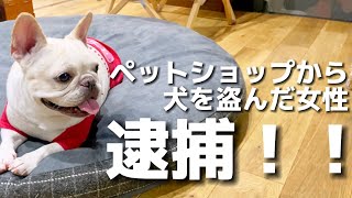 【事件】修羅と言われる街で犬の窃盗事件発生！！犯人逮捕の決め手になったのは義務化された『アレ』だった！！