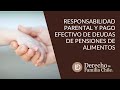 Retención de AFP - Ley de Responsabilidad Parental y Pago Efectivo de Pensión de Alimentos