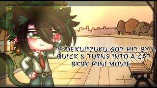 If Deku/Izuku Got Hut by A Quick & Got Turns into A Cat||BKDK Mini Movie🧡💚