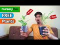 Nurserylive Free Plants | Nurserylive plants review | Nurserylive coupon code