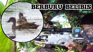 CRAZY❗️ONE POND IS INHABITED BY THOUSANDS OF GRASSLES. HUNTING GRASSLES. BORNEO SLUG