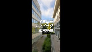 【告知】芝浦工業大学「学生広報アンバサダー」始まります！！！ #Shorts