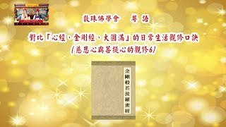 對比「心經、金剛經、大圓滿」的日常生活觀修口訣 - 粵語中文字幕 (6 慈悲心與菩提心的觀修) 啤嗎哈尊金剛上師 敦珠佛學會