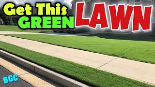 How to get a Green Bermuda Lawn - Sunniland Liquid Fertilizer  - liquid Iron - Minors Liquid Blend