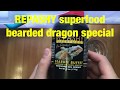 制作REPASHY superfood bearded dragon special Grub pie