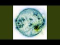 Space (feat. Shawn Zuspät)