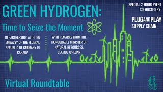 Green Hydrogen: Time to Seize the Moment