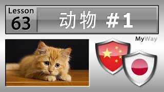 第63课: 动物 #1 (学习日语)