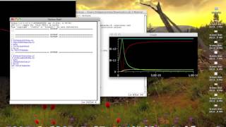 Lab 11 - Rutherford Scattering
