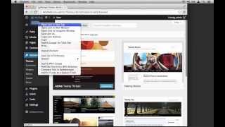 The WordPress Theme Customizer: What is the WordPress Theme Customizer?