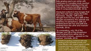 Soil Quality and Sheep