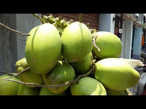 Kolkata Street Food | Fresh and Natural Drink Coconut Water Kolkata Street Food | Fresh and Natural Drink Coconut Water