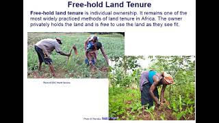 Land Tenure Systems