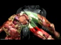 Mortal Kombat 9 Komplete Edition - All X-Rays on Skully 