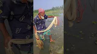 80 Years Old Fisherman catfish #netfishing