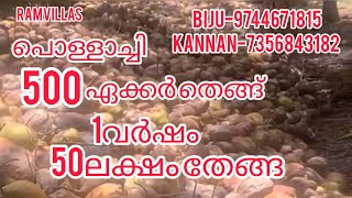 500ഏക്കർ തെങ്ങ് തോട്ടം 27,000തെങ്ങ്,1വർഷം 50ലക്ഷം തേങ്ങ |RV-136|പൊള്ളാച്ചി.