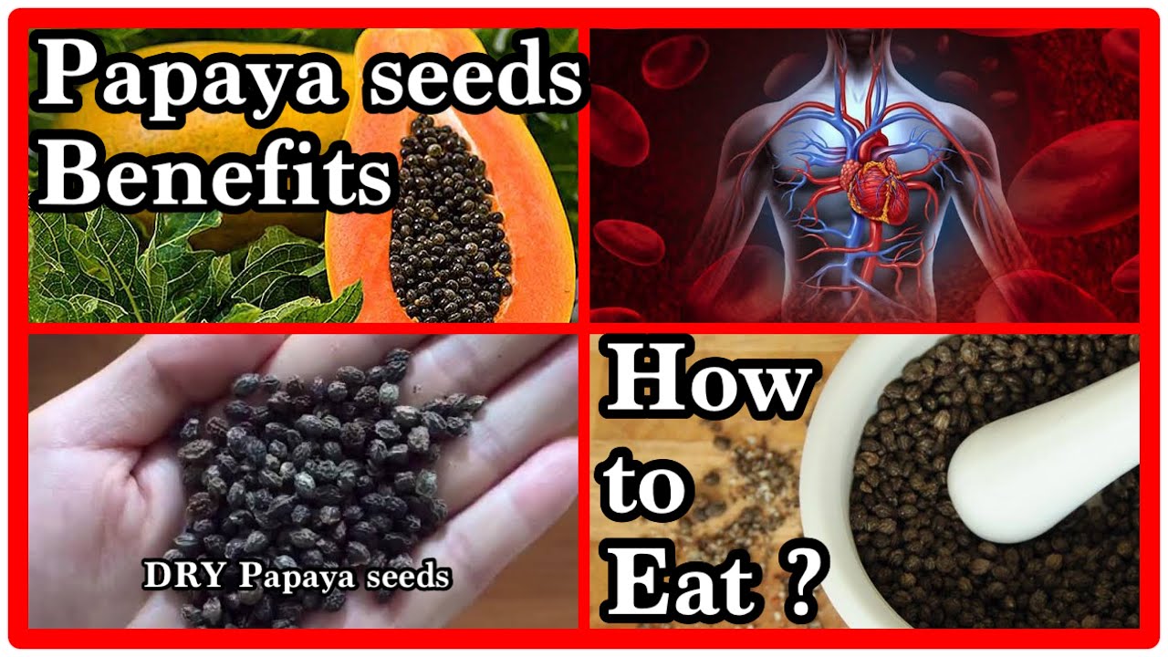 Papaya Seeds Health Benefits | HOW TO EAT PAPAYA SEEDS| - YouTube