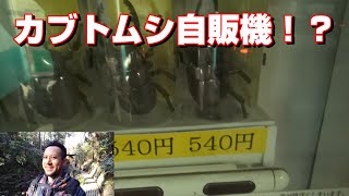 【変わった自販機】日比谷から秋葉原へ探しに行く