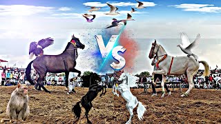 राजस्थान मे घोड़ीओ का धमाकेदार नागिन डांस आग के साथ ||NEW MARWADI HORSE DANCE ||New rajasthani song