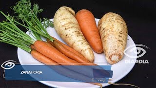 Zanahoria - Día a Día - Teleamazonas