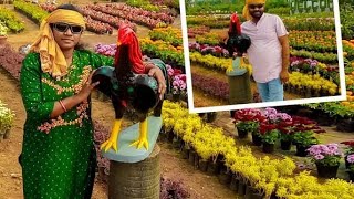 |vlog| కళ్ళు చెదిరే కడియం నర్సరీ అందాలు|| @harnithakitchenandvlogs