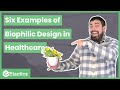 6 Examples of Biophilic Design in Healthcare