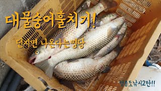 [인천]영종도 훌치기낚시 2탄!!무슨 숭어떼가  지나간다..ㄷㄷfish in the sea