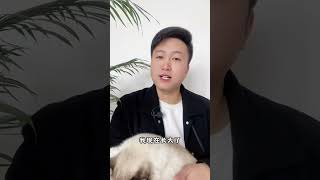 猫咪最怕你，对他做的五件事。养猫经验分享 科学养宠攻略 养猫人 喵咪 好懂事的猫猫