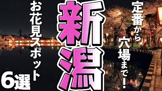 【新潟観光/定番＆穴場】新潟県のおすすめお花見スポット６選！