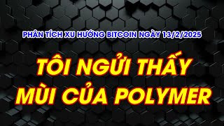 Phân tích xu hướng bitcoin ngày 13/2/2025