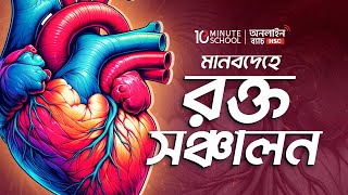 হৃদপিন্ডের রক্ত সঞ্চালন পদ্ধতি | রক্ত ও সংবহনতন্ত্র | HSC 25 Online Batch