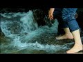 aruvickachal waterfalls near poonjar vlog by travelogics