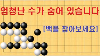 바둑 묘수 사활 - 엄청난 수가 숨어 있습니다. 백을 잡아보세요.