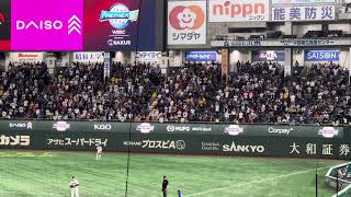 台灣応援団による千葉ロッテチャンステーマの声量が凄まじい　WBSCプレミア12  in Tokyo Dome