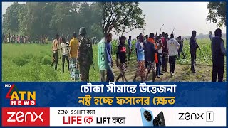 চৌকা সীমান্তে উত্তেজনা, নষ্ট হচ্ছে ফসলের ক্ষেত | Chapainawabganj Border | Agriculture | ATN News