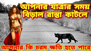 বিড়াল রাস্তা কাটলে গাড়ি দাঁড়িয়ে পরে কেন ? Biral rasta katle ki hote pare