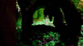 SDC12690.AVI